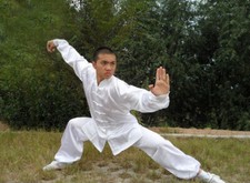 Kung Fu Tai Chi Uniform Martial Arts Suit Outfit Wushu Changquan Suit Clothes