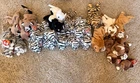 TY Beanie Babies Lot Of 24 CATS Bundle Vintage 1990s Collectibles All New NWT