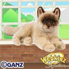 Webkinz RAGDOLL CAT Signature WKS1041 RARE, Virtual adoption CODE ONLY Messaged