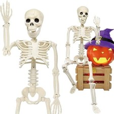 3FT Life Size Posable Halloween Skeleton Decorations