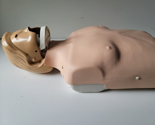 Laerdal Little Anne CPR Trainer Manikin Adult Torso ~ EXCELLENT~ FREE SHIPPING - Picture 7 of 17