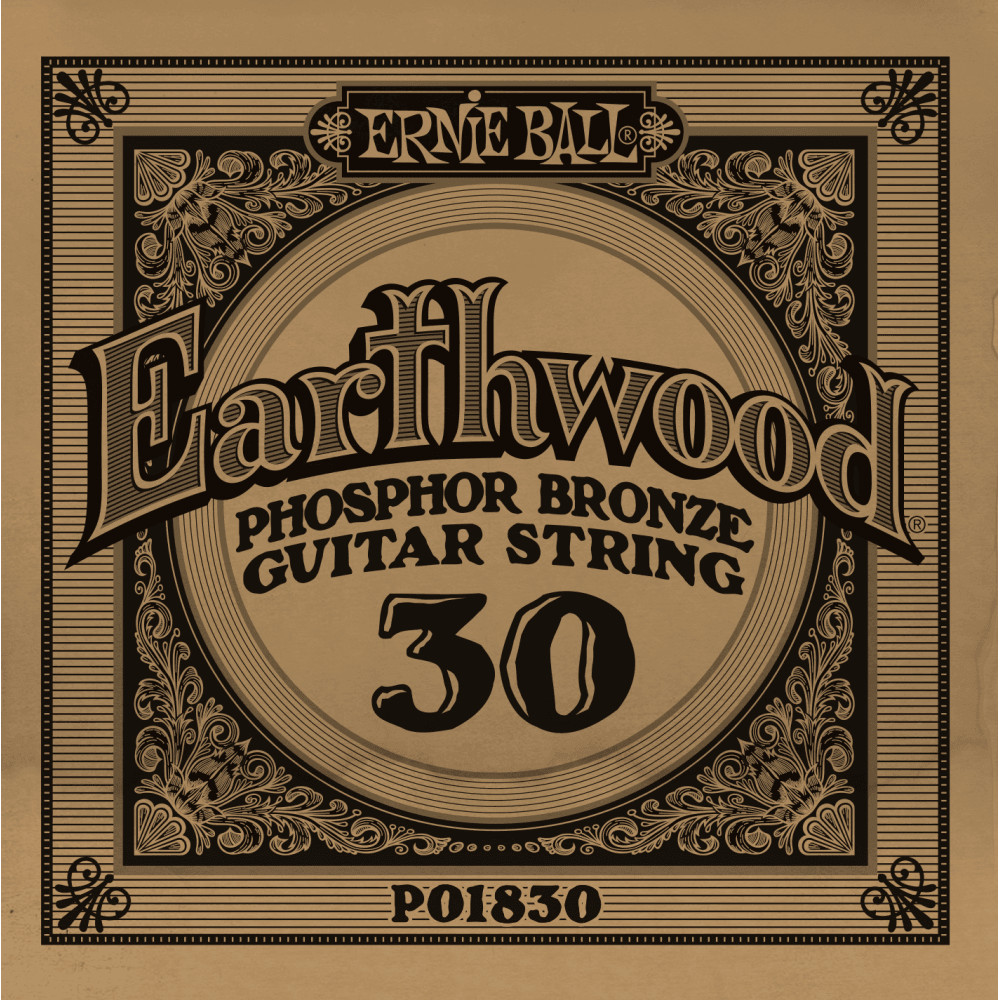 Ernie Ball Earthwood Phosphor Bronze .030w Acoustic Guitar Single String