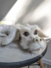 Needle felted wool Falcor figurine/Luck Dragon NeverEnding Story/Atreyu/Handmade