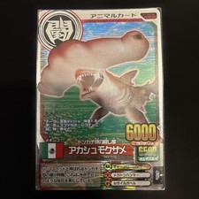 Animal Kaiser Akashmoke Shark 6000 Old Bullet