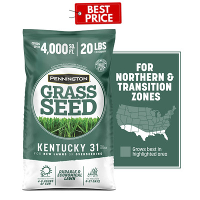 New Pennington Kentucky 31 Semilla de Hierba Tall Fescue 20 lb Grass Seed