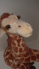 Bild 3 von 5
