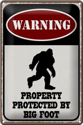 Blechschild Spruch 20x30 cm Warning property protected by Deko Schild tin sign