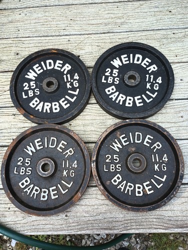 Weider 25 Pound Cast Iron Weight Plates 1" Standard Hole