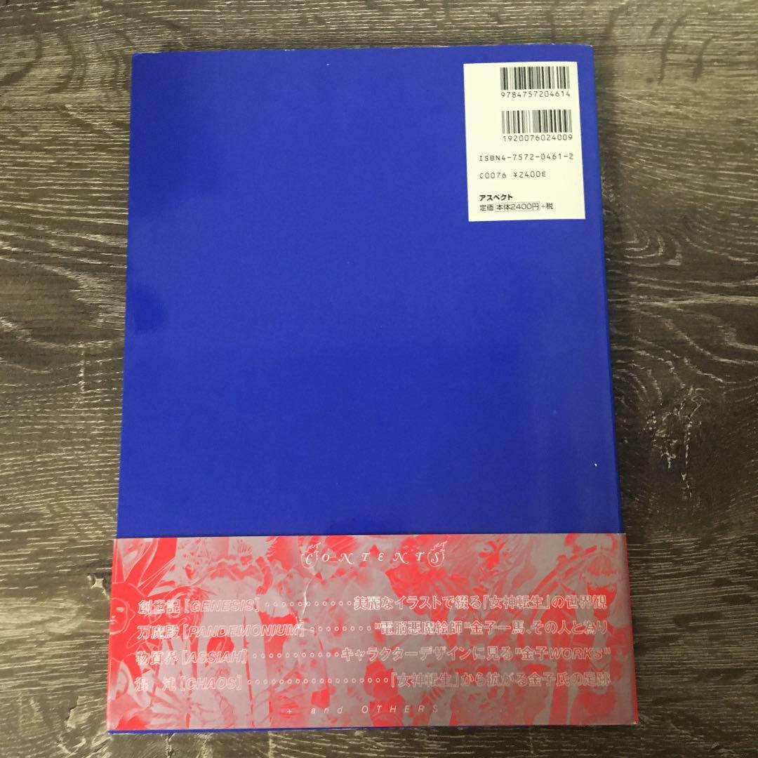 Kazuma Kaneko Graphics Digital Devil Apocalypse artBook from japan