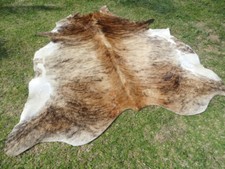 NEW LARGE BRINDLE CARAMEL Cowhide Rug natural Cowhides Cow Hide Skin 6X6 FEET RC