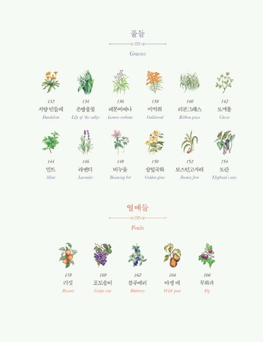 Anne's Garden -Illustration of Flowers, Trees, Berries and Sentences 빨강 머리 앤의 정원 - Picture 6 of 12