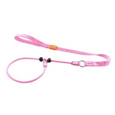 Dog Slip Lead Dog Leash Training Lead No-Pull Slip Leash and Collar Heavy Dut...
