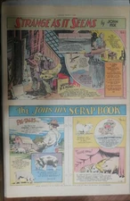 Strange As It Seems: Pig Lore, Painter Benjamin Haydon by Hix 3/1/1936