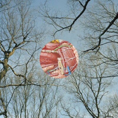 They Might Be Giants - Glean [CD]