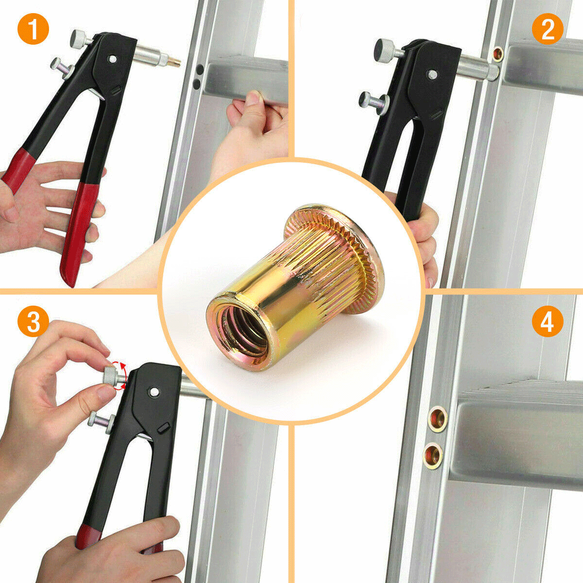 Rivet Nuts Hardware Fasteners 1/420 Stainless Steel Rivet Nuts Flat