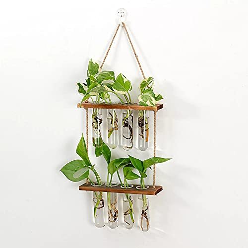 BUDDE Wall Hanging Planter, 2 Tiered Plant Propagation Stations Plant 
