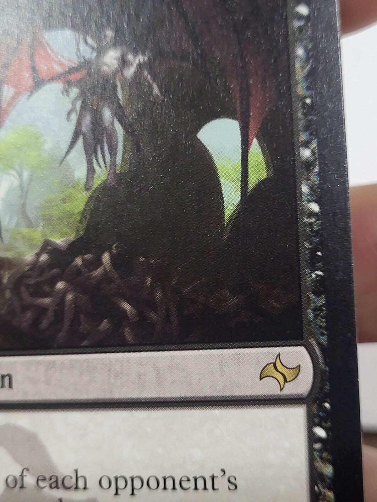 Picture 6 of 15