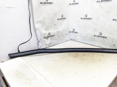 99-16 Ford F250SD Front Right Door Window Inner Belt Weatherstrip 7C3Z-2521456-A
