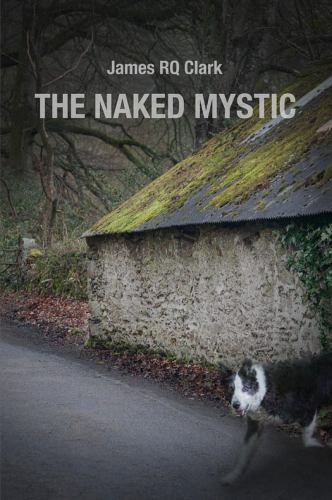The Naked Mystic by Clark, James Rq 9781733601139 | eBay