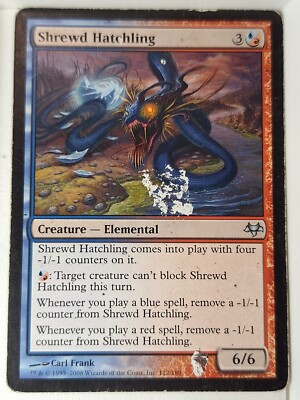 Shrewd Hatchling - Eventide - Magic the Gathering MTG Nice!
