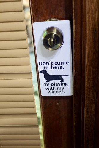 Dachshund Do Not Disturb Sign Wiener Dog Funny Door Sign Cute Animals  - Picture 2 of 3