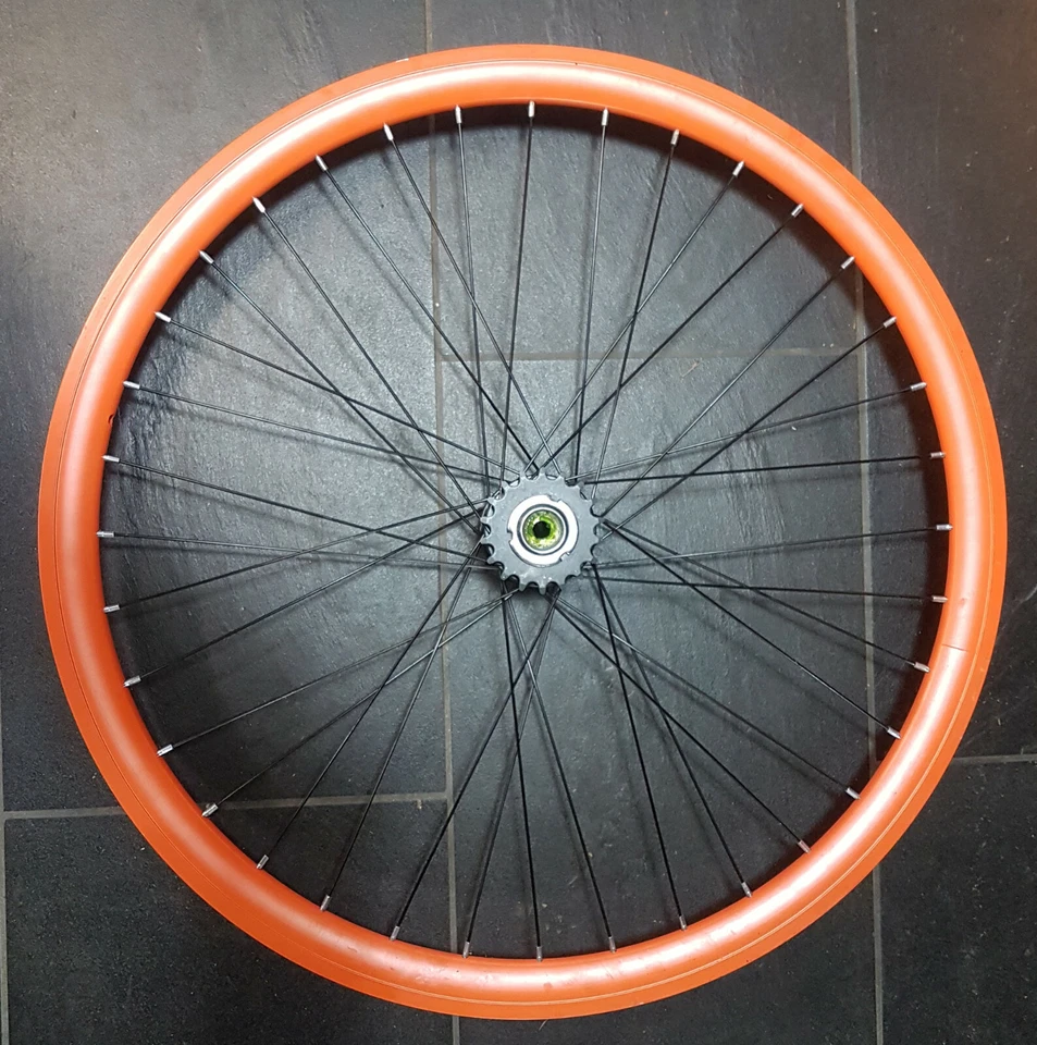 Hinterrad 28/29"/700c  Speiche #262