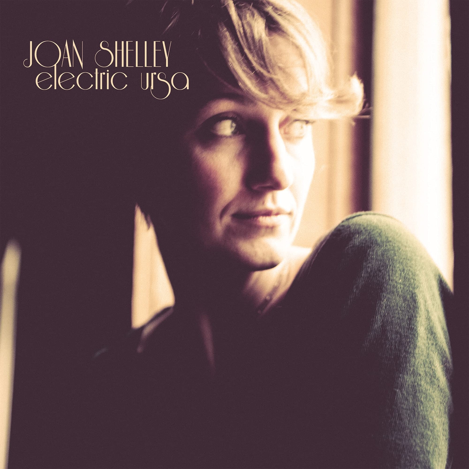 Joan Shelley Electric Ursa (Vinyl LP)