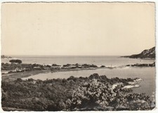 OLD PORT - CORSICA - RACING - FRANCE - FRANCE - GOLFE DE SANTA-GIULIA -230-