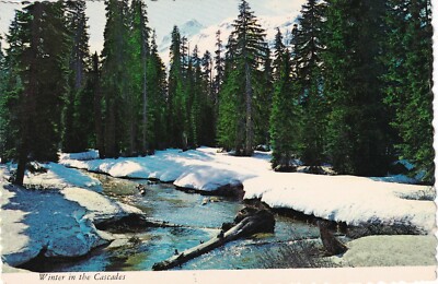 Winter Wonderland in Washington & Oregon, Cascade Mountains, UNP, EXC --POSTCARD