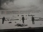 Picture 4 of 4