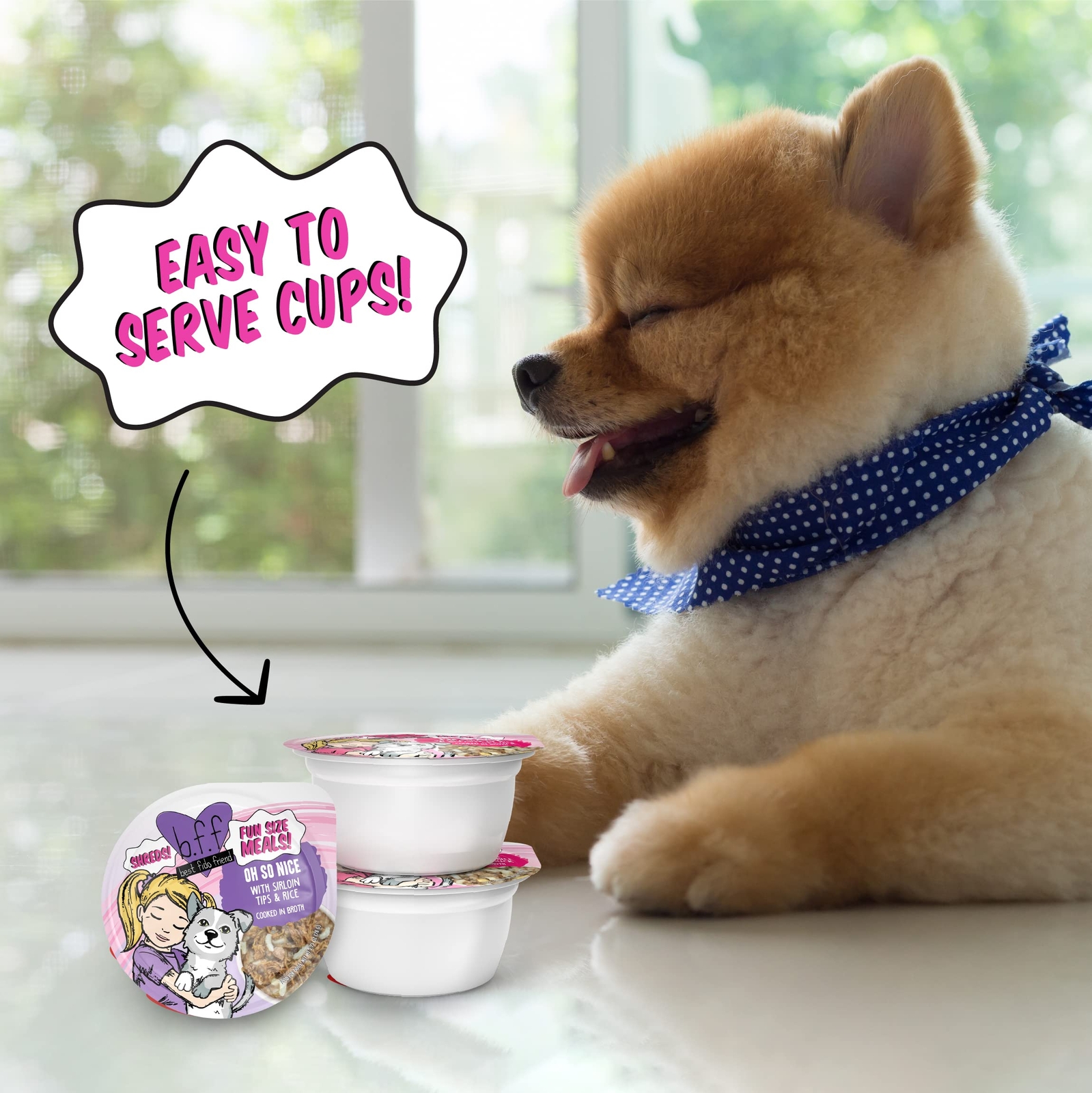 BFF Fun Size Meals Picky Pooch Picnic Variety Pack Natural Dog Food 8 Cups