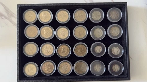 Lot Of24  4Silver Mercury Dime 4 Buffalo C5 ,14 Golden President $1 2 Sacagawea