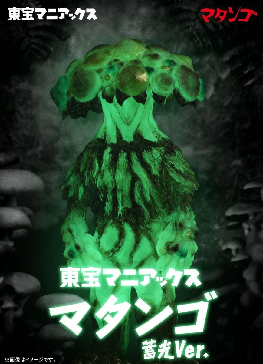 2026 TOHO MANIACS 7