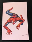AMAZING SPIDER-MAN #6 VIRGIN TYLER KIRKMAN WHITE EXCLUSIVE SPIDERMAN 1
