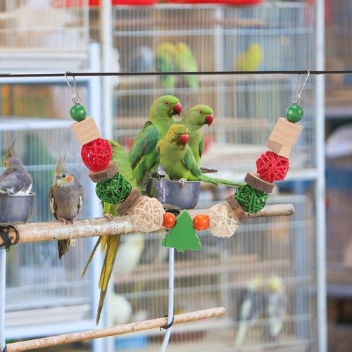 Remises Parrots Chewing Hanging Foraging Toy Parrot Cage Shredding Toy Small Animal