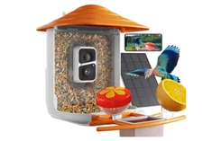 Smart Bird Feeder with Camera Solar Powered, Bird Watching, AI Identify Bird Spe