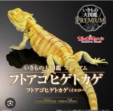 New Premium BANDAI Bearded Dragon Figure Yellow Color  ver