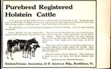 1912 Holstein-Friesian Cattle Association Brattleboro VT Vintage Print Ad 720