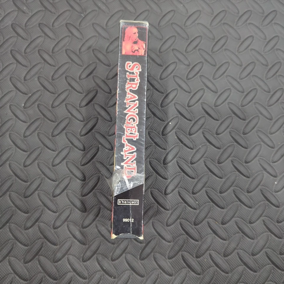 VHS Strangeland 1998 Cult Dee Snyder Robert Englund Captain Howdy. - Image 4 of 4