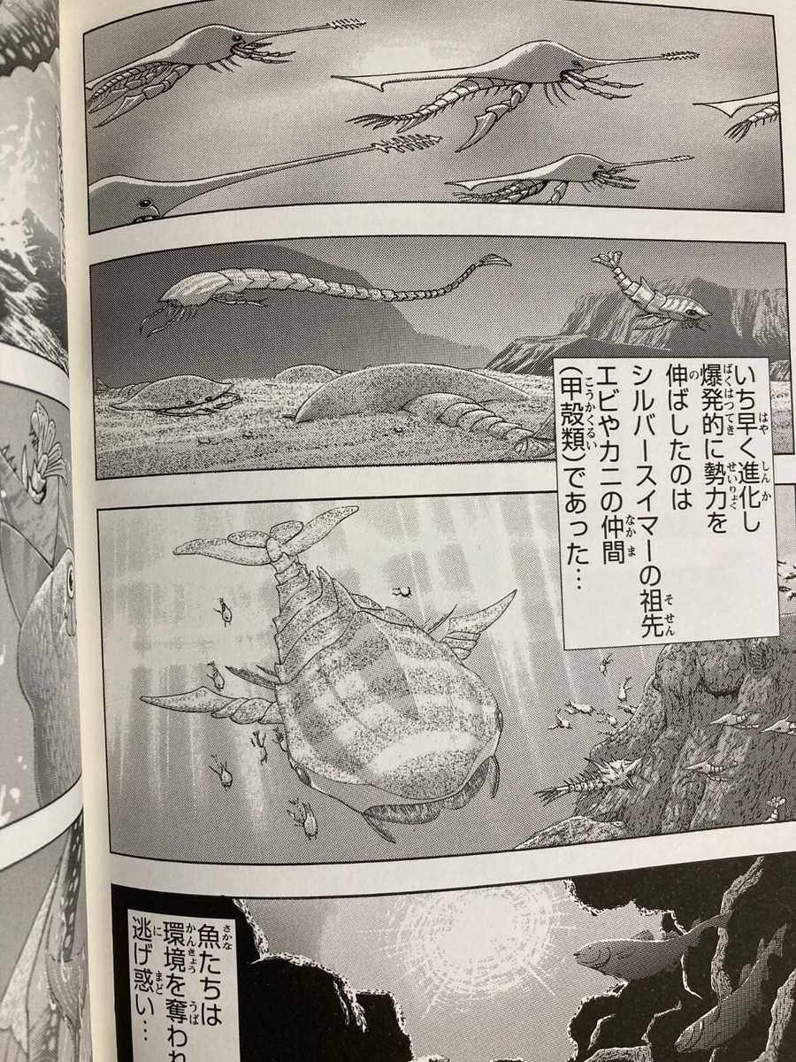 シャーマンキング　英語版　漫画　English Manga シャーマンキング 完全版 24 (Shaman King Kang Zeng Bang, #24