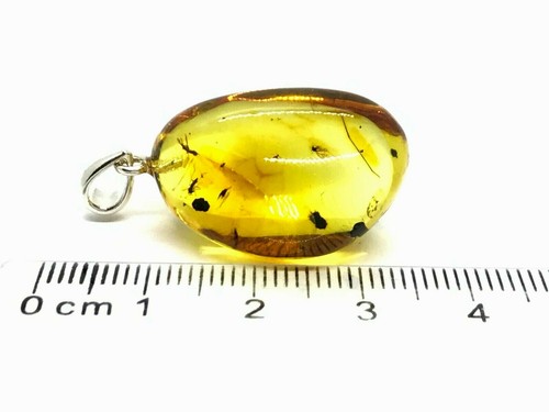 Ciondolo AMBRA 5 insetti regalo inclusione fossile ambra baltica argento 925 4,1 g 16552 - Foto 11 di 12