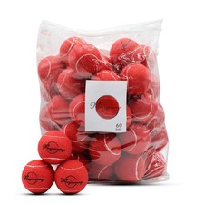 Tennis Balls 60 Pack Advanced Training Practice Pet Dog Playing Red