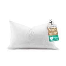 2x20 Feather Lumbar Pillow Insert, Decorative Throw Pillow 12 x 20-Inch 1