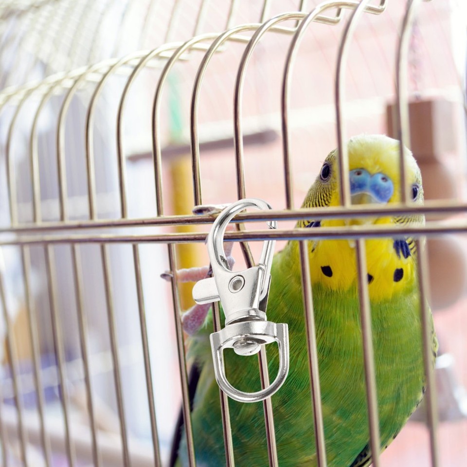 Curated visual reference: Picture Idea: 40 Pcs Parrot Cage Snap Hooks Cage Door Safety Locks