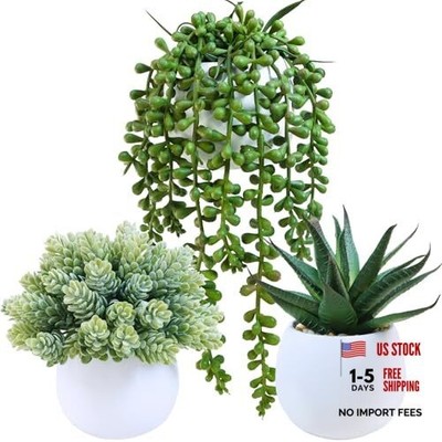  Set of 3 Assorted Artificial Succulent Plants in White Concrete White Pots