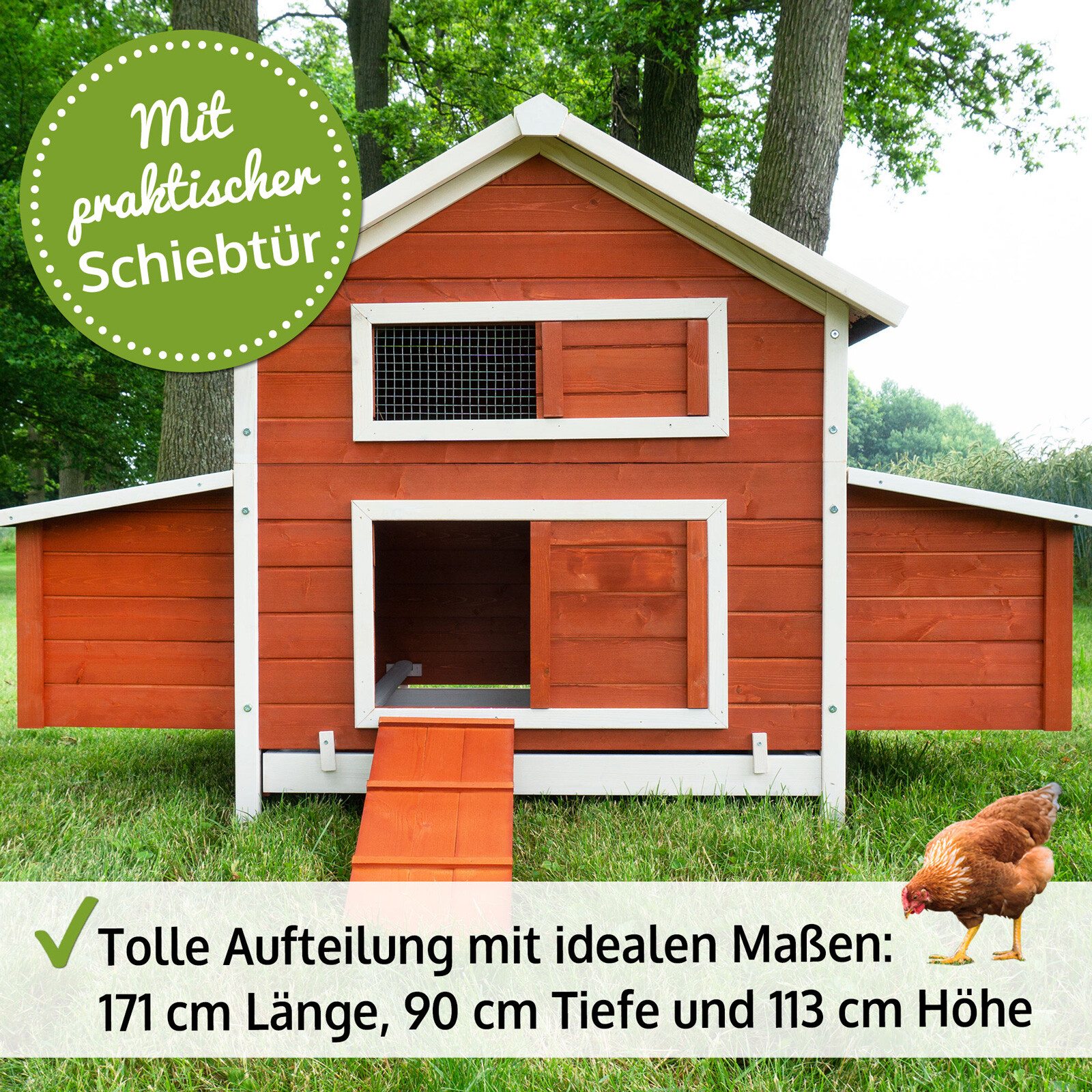 Bild 9 von 13