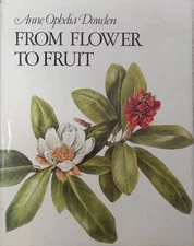 From Flower to Fruit