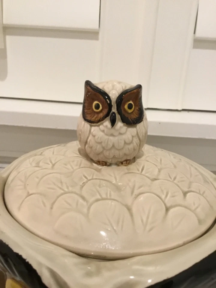 Vintage Rare OMC Hand Painted Otagiri Japan Ceramic Owl Canister Cookie Jar 60’s - Image 2 of 4