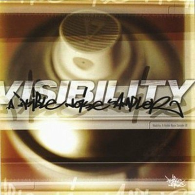 Visibility-Visible Noise Label