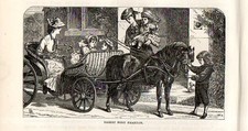 Stampa antica CARROZZA FAETON con PONY TRASPORTO BAMBINI 1892 Old print horses